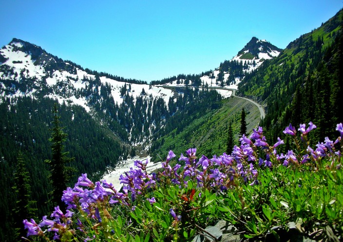 East side of Chinook Pass, Naches Peak on the left